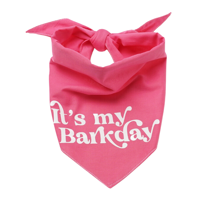 The Paws Pink Barkday Dog Bandana
