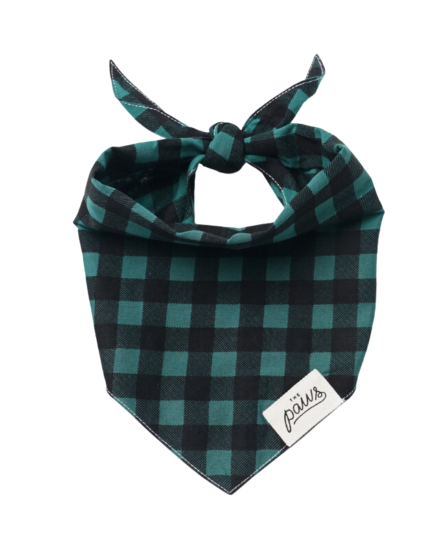 The Paws Bourbon Dog Bandana