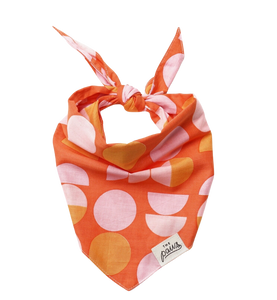The Paws Judy Dog Bandana