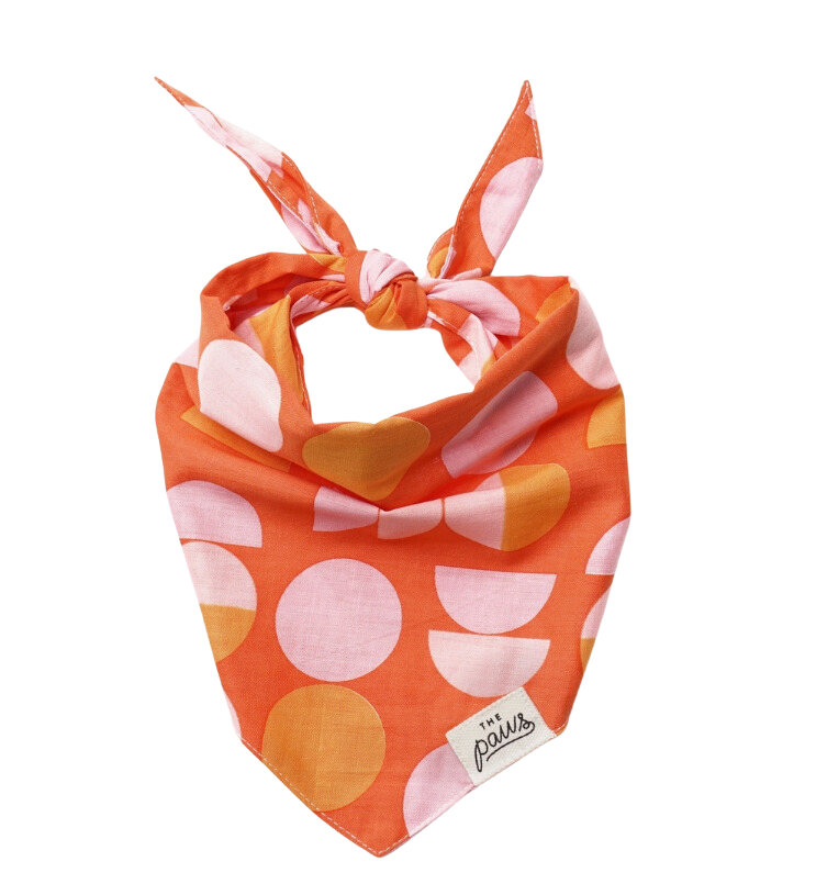 The Paws Judy Dog Bandana