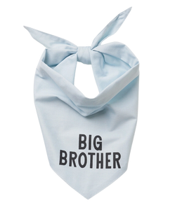 The Paws Big Brother Dog Bandana