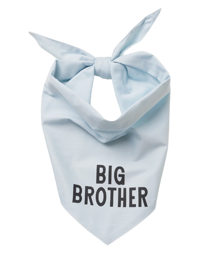 The Paws Big Brother Dog Bandana