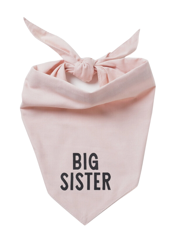 The Paws Big Sister Dog Bandana
