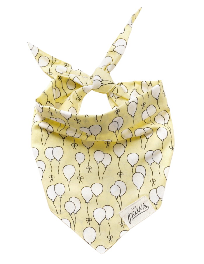 The Paws Party Champagne Dog Bandana