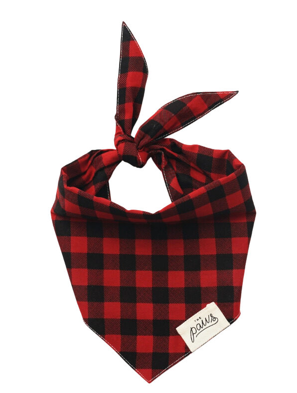 The Paws Whiskey Dog Bandana