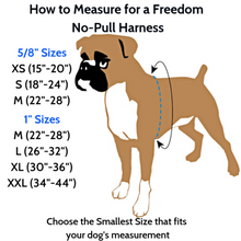 Load image into Gallery viewer, 2 Hounds Design Freedom No-Pull Harness Deluxe Training Package - 5/8" - Black/Silver