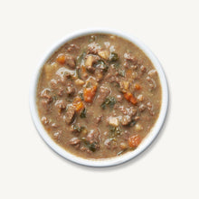 Load image into Gallery viewer, The Honest Kitchen Wet Dog Food One Pot Stews Roasted Beef with Kale, Sweet Potatoes &amp; Carrots 10.5oz Tetra Pack Single