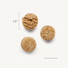 Load image into Gallery viewer, The Honest Kitchen Biscuit Dog Treats Goat&#39;s Milk N&#39; Cookies Pumpkin &amp; Cinnamon 8oz Bag