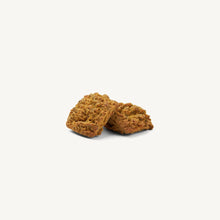 Load image into Gallery viewer, The Honest Kitchen Biscuit Dog Treats Bone Broth Bites Roasted with Chicken Bone Broth &amp; Carrots 8oz Bag