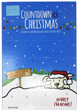 Load image into Gallery viewer, *Seasonal - WINTER* Honey I&#39;m Home! Countdown to Christmas Advent Calendar