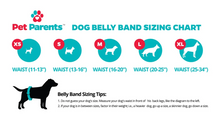 Load image into Gallery viewer, Pet Parents Washable Belly Bands 3pk - Designer