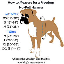 Load image into Gallery viewer, 2 Hounds Design Freedom No-Pull Harness Deluxe Training Package - 1&quot; - Navy Blue/Royal Blue