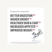 Load image into Gallery viewer, The Honest Kitchen Dehydrated Dog Food Grain-Free Beef Recipe