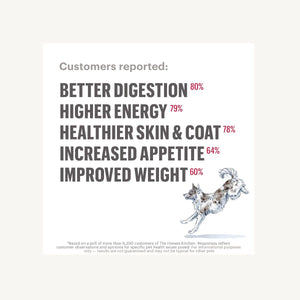 The Honest Kitchen Dehydrated Dog Food Grain-Free Beef Recipe