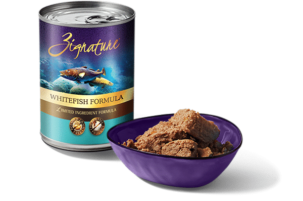 Zignature Wet Dog Food Grain-Free Whitefish Formula 13oz Can Single