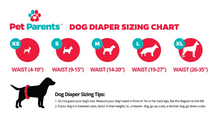 Load image into Gallery viewer, Pet Parents Washable Dog Diapers 3pk - Princess
