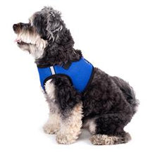 Load image into Gallery viewer, The Worthy Dog Sidekick Harness - Black