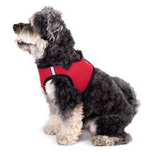 Load image into Gallery viewer, The Worthy Dog Sidekick Harness - Red