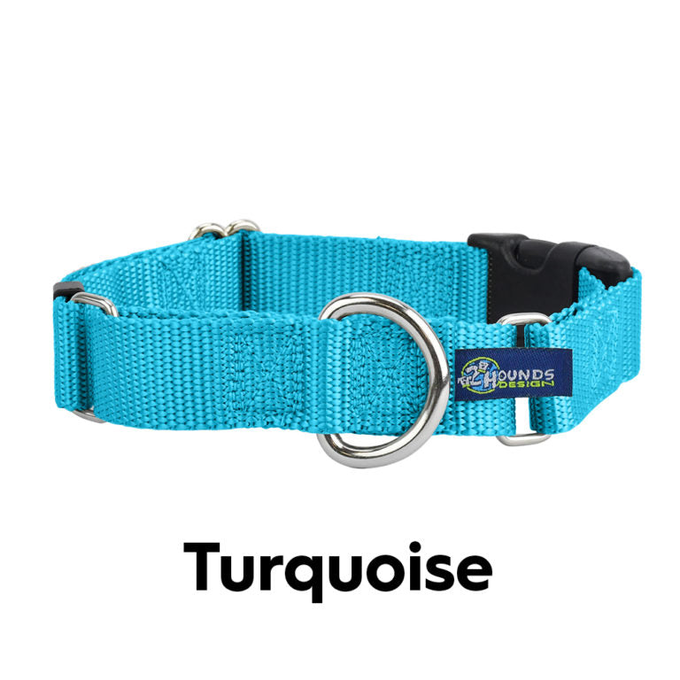 2 Hounds Design 5/8” Wide Solid Colored Buckle Martingale COMBO Collar - Turquoise -