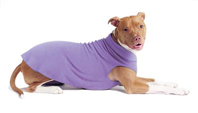 Gold Paw Stretch Fleece - Lavender