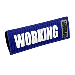 RC Pets Bark Notes - Working - Blue