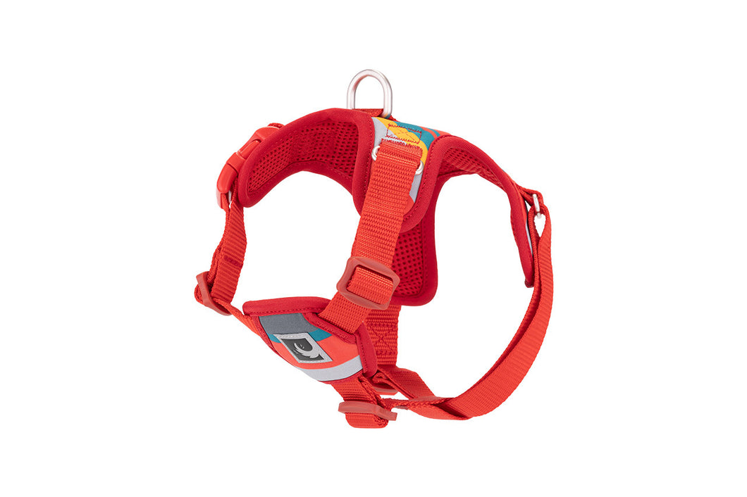 RC Pets Forte Step-In Harness - Multi Stripes