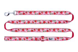 RC Pets Patterned Dog Leash 1"x6' - Strawberries