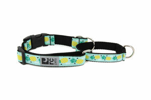 RC Pets Patterned Easy Clip Web Training Dog Collar - Pineapple Parade
