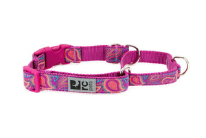 RC Pets Patterned Easy Clip Web Training Dog Collar - Bright Paisley