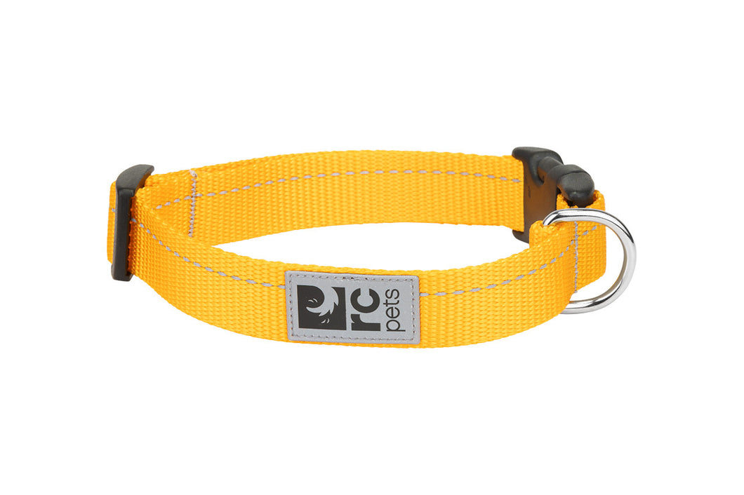 RC Pets Primary Dog Clip Collar - Marigold