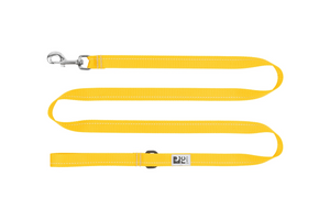 RC Pets Primary Dog Leash 1/2"x6' - Marigold