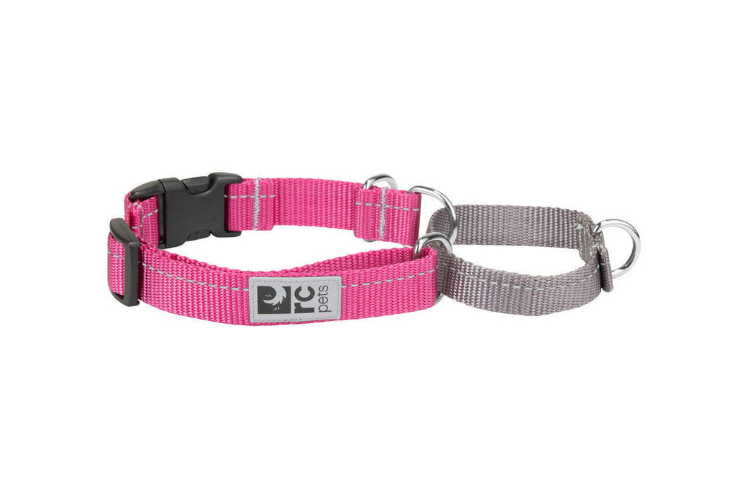 RC Pets Primary Easy Clip Web Training Dog Collar - Mulberry