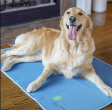 Load image into Gallery viewer, The Green Pet Shop Cool Pet Pad -