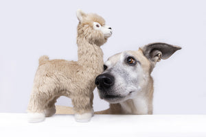 Fluff & Tuff Inca Alpaca - Medium Squeaky Stuffed Dog Toy