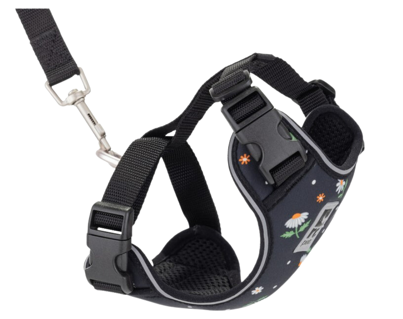 RC Pets Adventure Kitty Harness - Daisies