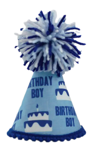 Pup Party Hats Birthday Boy Blue Ink Party Hat XS