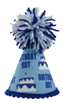 Pup Party Hats Birthday Boy Blue Ink Party Hat XS