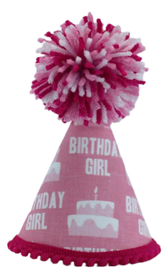 Pup Party Hats Birthday Girl Pink Ink Party Hat L