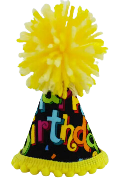Pup Party Hats Birthday Neutral Party Hat XS
