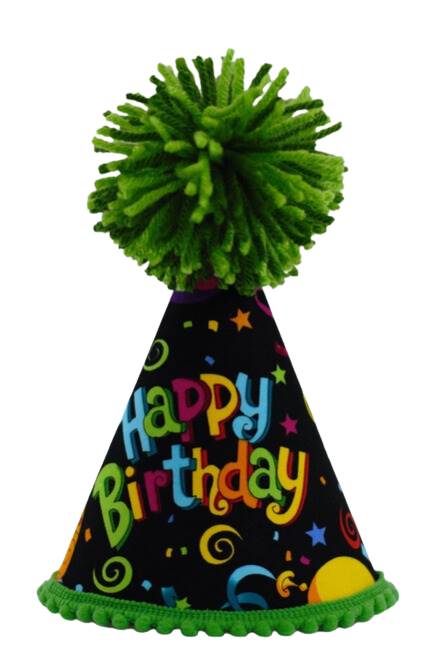 Pup Party Hats Birthday Neutral Party Hat L