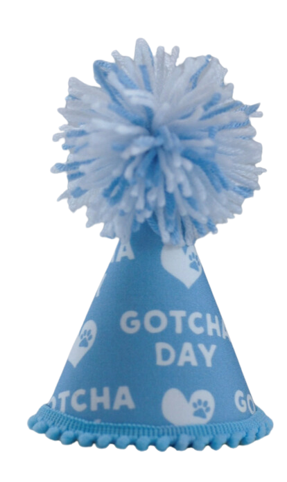 Pup Party Hats Gotcha Day Blue Party Hat M